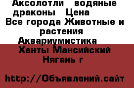 Аксолотли / водяные драконы › Цена ­ 500 - Все города Животные и растения » Аквариумистика   . Ханты-Мансийский,Нягань г.